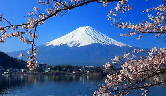 Japón